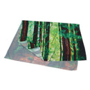 Tree Tapestry Woodland Decor, Redwood Trees Northwest Rain Forest Tropical