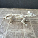 Nice Skeleton Rat PP+PVC Animal Skeleton Bones for Horror Halloween Decorat O3A7