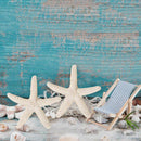 15 Pieces creamy-white Pencil Finger Starfish For Wedding Decor, Home Decor R2C8