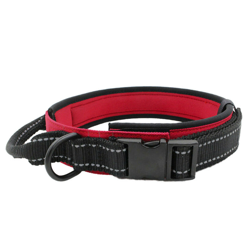 Dog Collar, Feed a Dog Durable Oxford Puppy and Dog Collar with D Ring