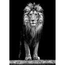 Animal Full Drill Diamond Painting 5D Mosaic Bead Art Picture (E38 Lion)