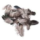 20pcs Caragana Feathers Green Natural Feathers 4-7cm Decor Making Feathers ME