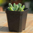 4 pcs Nice Square Deep Nursery Pots Black Plastic Plants Flower Pots on K2D S5N2