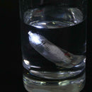 Underwater Fishing Lure Light LED Artificial Trout Bait Fish Attract