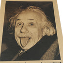 einstein posters wall stickers imagination is more important than knowledge Bs!j