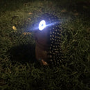 2xBright Eye Solar Power LED Pet Animal Garden Ornaments Gift Decor-Hedgehog