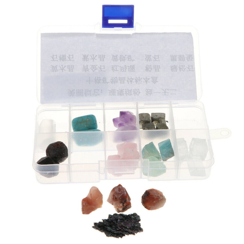 Box fo 10pcs Rock and Mineral Collection Kit for Kids | Rock Science Kit |