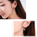Pair of Big Ring Style Ear Hoops Earrings Earbobs Eardrop Jewelry for Women