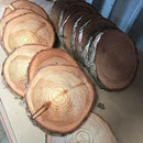 10pcs 10-12CM Wood Log Slices Discs Wooden Craft Embellishment for DIY Craf