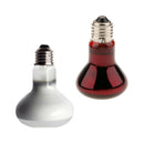 2Pcs Reptile UVA Infrared Heating Light Nightlight Daylight Bulb 50W & 100W