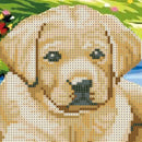 Dog 5D Diamond Painting DIY Embroidery Cross Stitch Kit Home Gift Art Decor