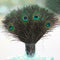 10pcs Real Natural Peacock Tail Eyes Feathers Wedding Festival Party Decora I6H9
