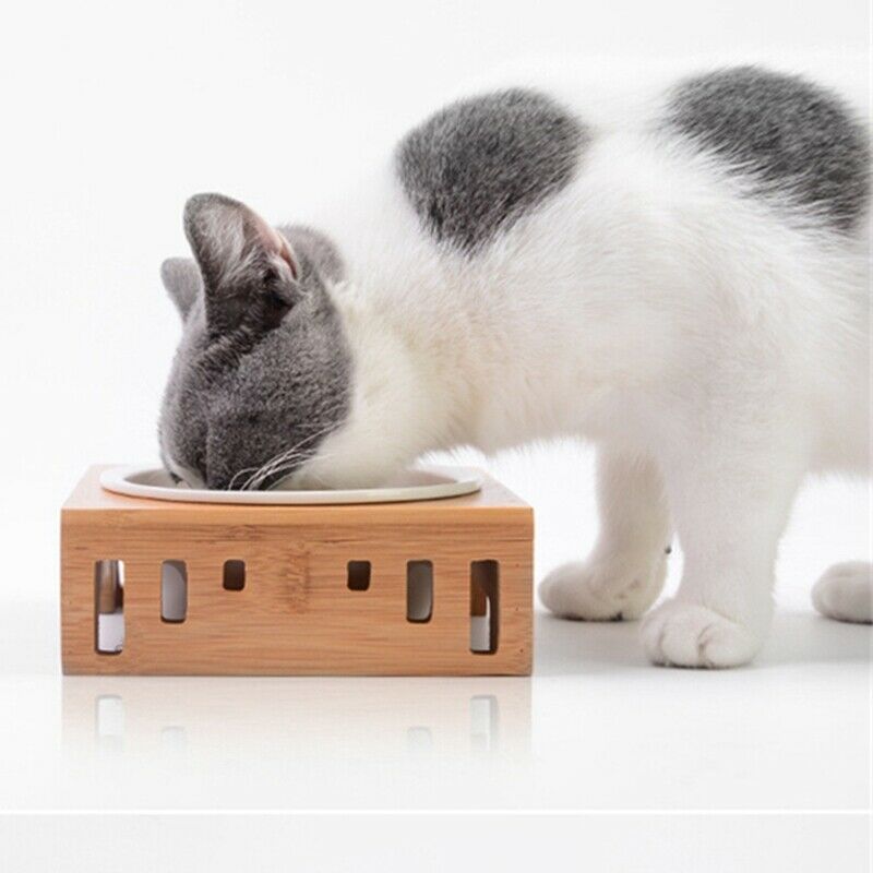 Fresh Water Dog Fountain Auto Pet Water Feeder Dog Drinking Container Cat W