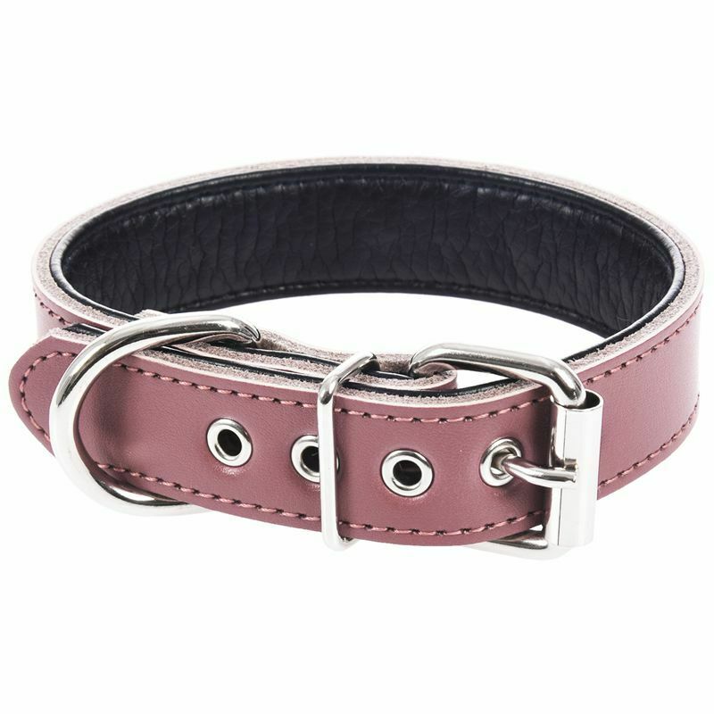 Leather Padded Rhinestone Dog Collars Bling Dog Collar Pet Collar Small Med