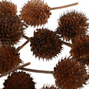 80 Pieces Natural Mini Pine Cones Dried Fruits Accents Table Ornaments Home Room
