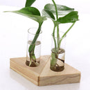 2pcs Planter Test Tube Flower Bud Vase Tabletop Glass Pots in Wooden Stand