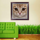 DIY 5D Diamond Embroidery Mosaic Cat Face Painting Cross Stitch Home Decor