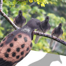 4PCS Hunting Dove Decoys Pigeon Bird Decoy for Hunting Garden Decorative