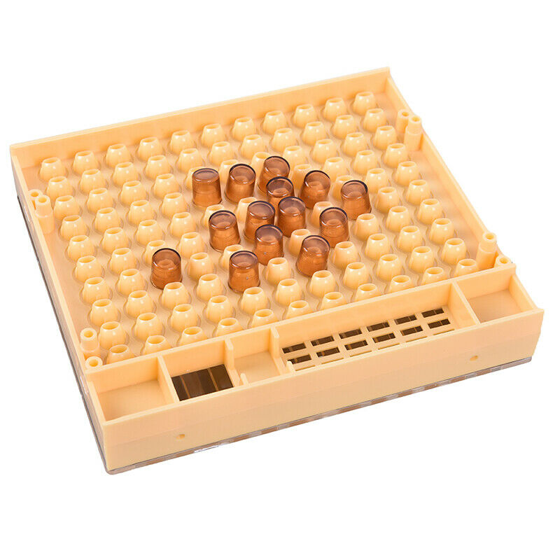 Beekeeping Tools Queen Rearing System Cultivating Box Plastic Bee Cell Cups  Gw