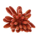 2pcs Artificial Succulents Plants Fingered Echeveria Desk Decor Photo Props