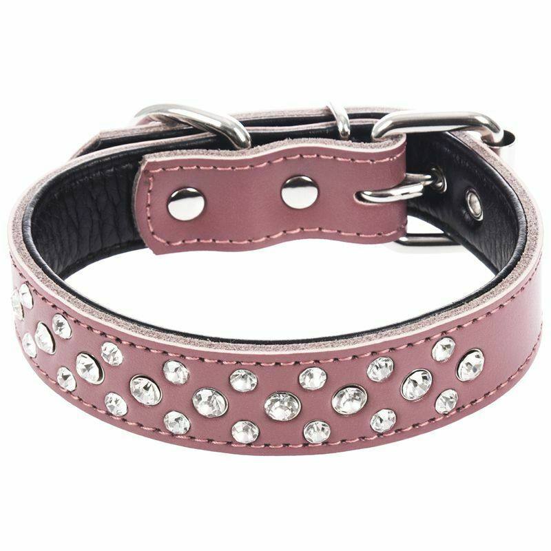 Leather Padded Rhinestone Dog Collars Bling Dog Collar Pet Collar Small Med
