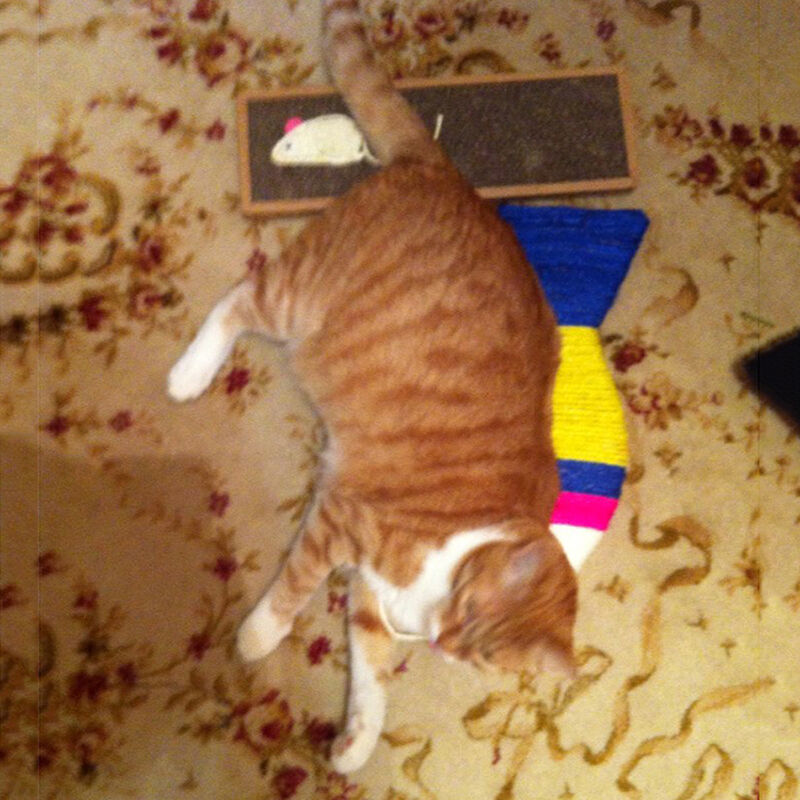 Pet Cat Scratching Board Scratcher Matstle Bed Pad WithCatnip Toys