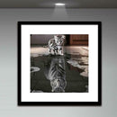 Cat Tiger 5D Diamond Painting Embroidery DIY Cross Stitch Craft Home Decor