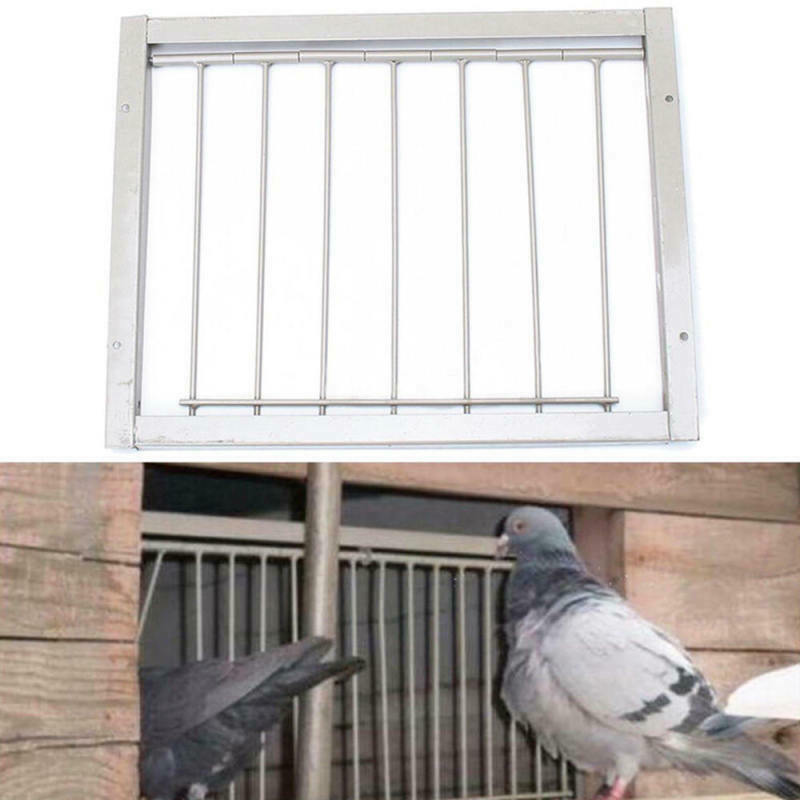 Iron Door Bob Wires Bars on Frame Entrance Tumbler for Racing Pigeon Loft Bird