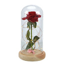 Eternal Rose Flower Red Silk Rose and LED Light with Fallen Petals in Glass K7T8