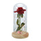 Eternal Rose Flower Red Silk Rose and LED Light with Fallen Petals in Glass K7T8