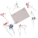 10pcs/Set Mini Gypsophila Cute Dried Flower Wedding Decoration DIY Hand acco BX