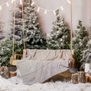Digital Studio Backdrop Photography Background Cloth (Christmas Theme 4)