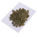 20 Pieces Green Natural Dried Flowers Pressed Leaf Leaves Thalictrum Plants
