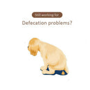 1X(Training Pads Toilet For Puppies And Small Pets, Square Pet Training Toi