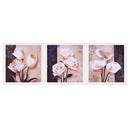 3 Canvas Oil Painting Wall Art Picture Hanging Poster Decor Flower Blooming