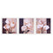3 Canvas Oil Painting Wall Art Picture Hanging Poster Decor Flower Blooming