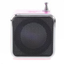 TD-V26 Portable Mini Digital Speaker with Micro SD / TF / USB /FM (Pink)
