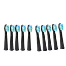 10 Sets Sonic Replacement Tooth Brush Head for Seago Electric Toothbrush Black