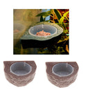 2Pc Gecko Earth Ledge Magnetic Hanging Feeder Bowl Reptile Terrarium Decor