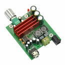 Tpa3116D2 Subwoofer Digital Power Amplifier Board Tpa3116 Amplifiers 100W A