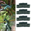 80Pcs Plant Support Clips, Gentle Plant & Flower Clamps, Supporting Climbing