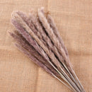15pcs Natural Dried Pampas Grass Reed Flower Bunch Wedding Bouquet Decors 2020