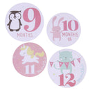 Baby Monthly Photograph Stickers Month 1-12 Milestone Stickers(Pink)
