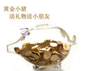 Piggy Bank Design Glass Money Change Jar Box Vase Bottle Terrarium Container