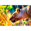 1000pcs DIY Nature Animal Head Puzzle Educational Assembling Jigsaw Toys