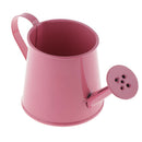 Pastoral Style Colorful Metal Tin Flower Pot Mini Bonsai Watering Can Pink