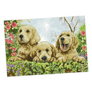 Handmade Stamped Cross Stitch Kit 11 Count Embroidery Kits for Home Decor