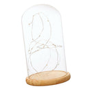 Battery Operated LED Lights Glass Cloche Table Lamp Fairy Lights Crafts C