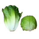 2pc Imitation Vegetables Cabbage& Lettuce Store Cabinet Display Food-