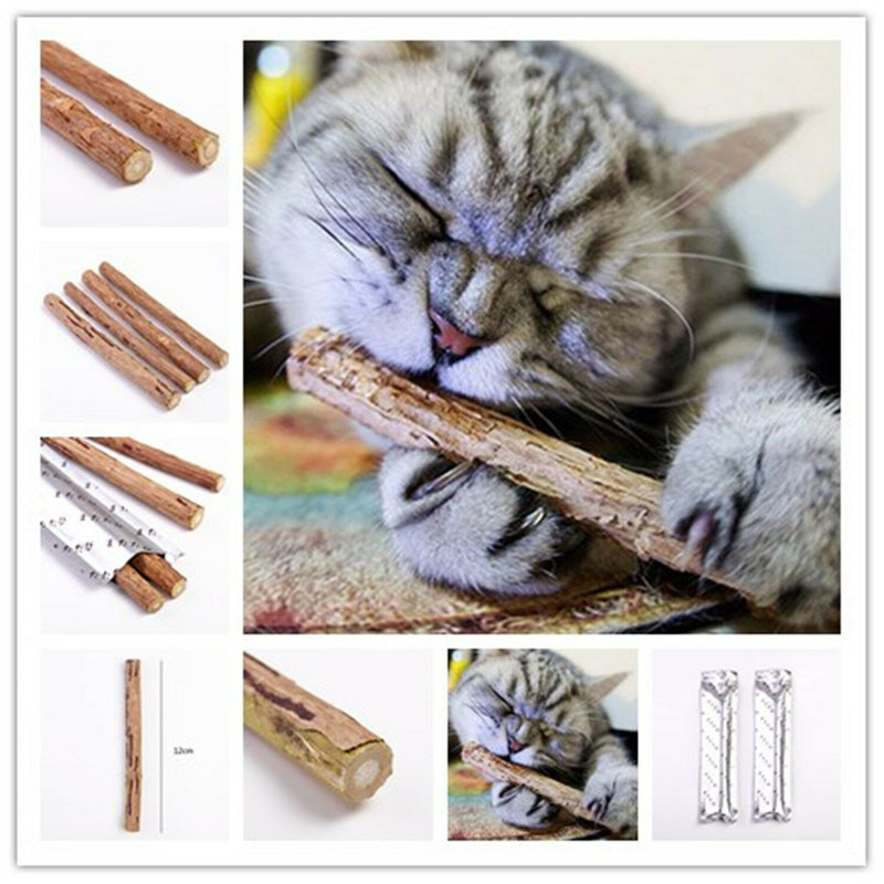 Cat Cleaning Teeth Pure Natural Catnip Pet Cat Molar Toothpaste Stick Toys